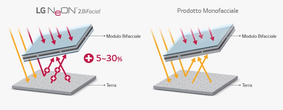 EEE LG NEON 2 Bifaccial Tecnologia