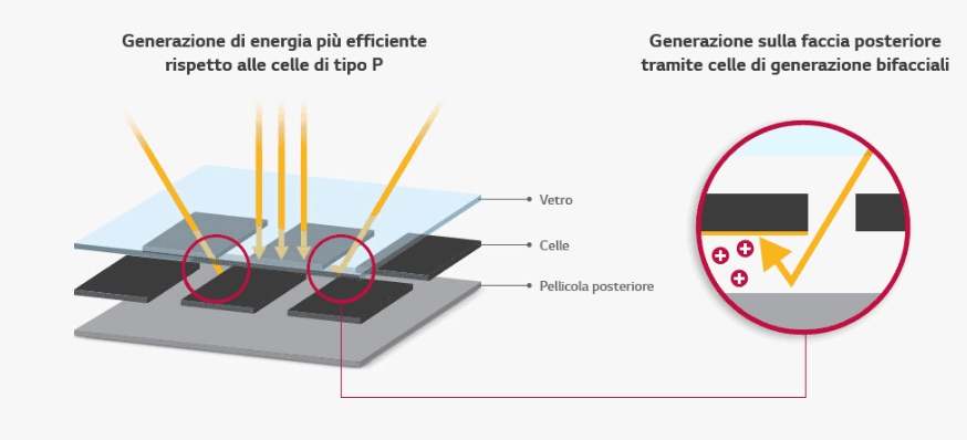 EEE LG NEON 2 Cella tipoN Tecnologia